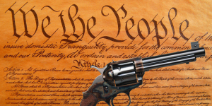 GunControl